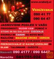 Pomoč v stiski in na daljavo pri Oraklju 0904177