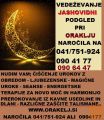 JASNOVIDNOST IN POMOČ IZ ZAČARANEGA KROGA 0904177