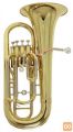 Euphonium Bb Ep-303 Roy Benson