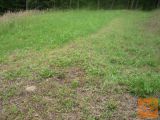 Limbuš Bistrica ob Dravi Zazidljiva 540 m2