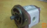 Črpalka, SALAMI 2PE13.8D-G52S2, 612021482 (gear pump)