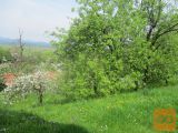 Borovnica Zazidljiva 788 m2