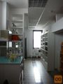 Kranj prostor za storitve 66,00 m2