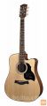 RICHWOOD D-40-CE MASTER Akustična kitara akustične kitar