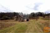 6,5 HA KMETIJSKE POSESTI V JAKOBSKEM DOLU
