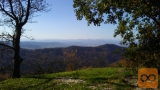 Moste-Polje Vnajnarje 1459 m2
