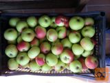 Žganje iz jabolk prodam. Tel 041 641 067