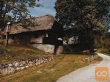 Metlika Bušinja vas Samostojna 48,7 m2