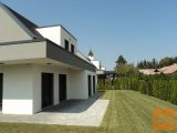 Ptuj 205 m2