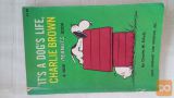 angleški stripi Charlie Brown in Snoopy