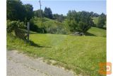 Pesnica Zazidljiva 1000 m2