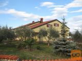 Umag Čepljani Samostojna 253 m2
