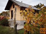 Brežice Velike Malence Zidanica 34 m2