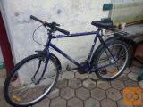Prodam odraslo vozno kolo za 20€