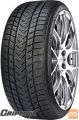 GRIPMAX Pro Winter 205/55R19 97V (p)